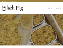Tablet Screenshot of blackfig.net